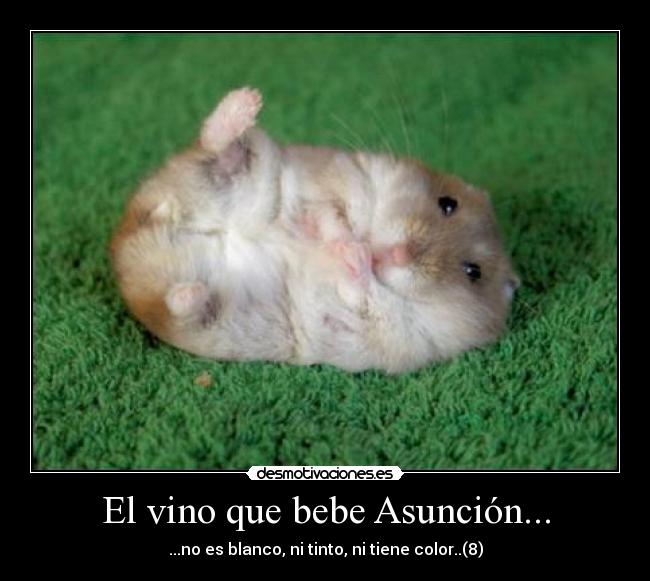 El vino que bebe Asunción... - 