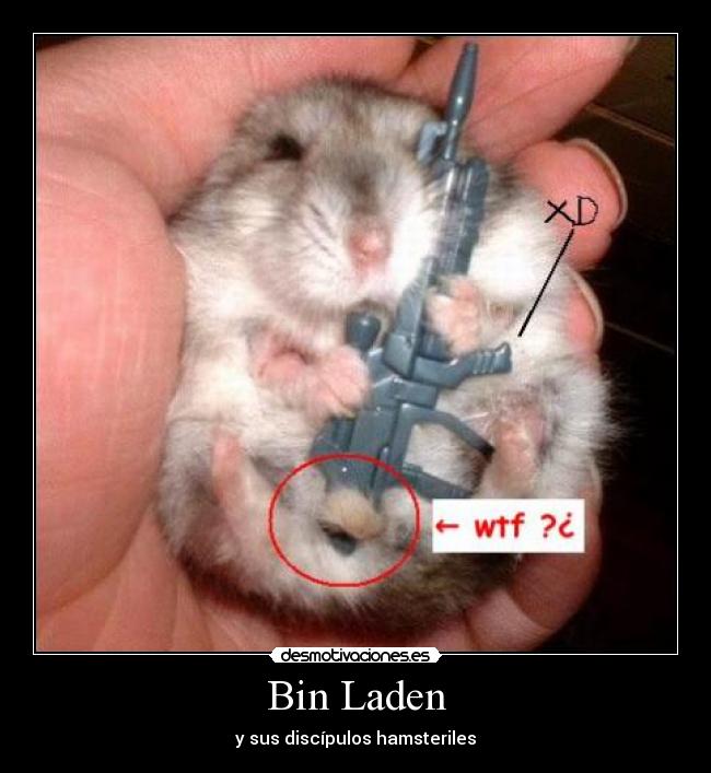 Bin Laden - 