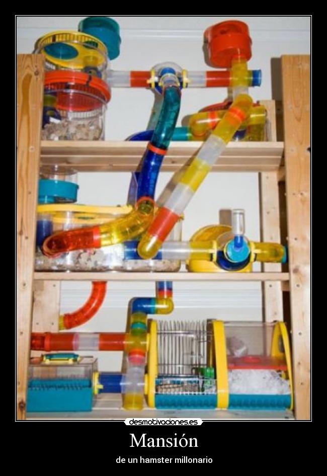 carteles mansion hamster desmotivaciones
