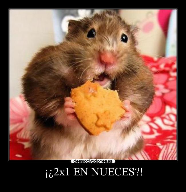 ¡¿2x1 EN NUECES?! - 
