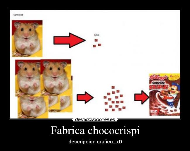 Fabrica chococrispi -