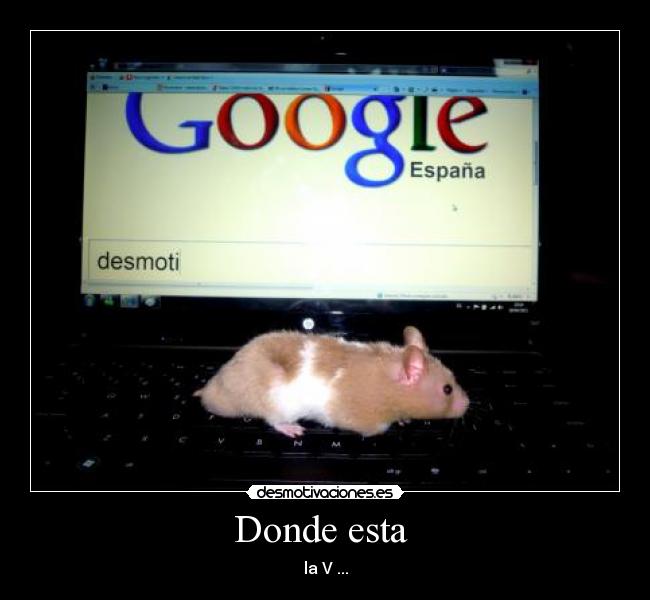 Donde esta -