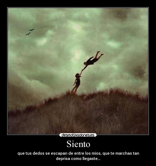 Siento - 