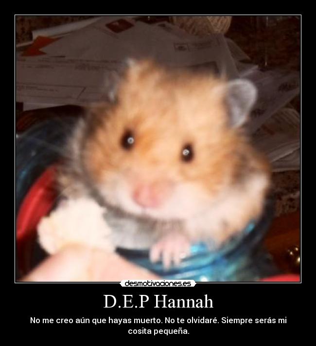 D.E.P Hannah -