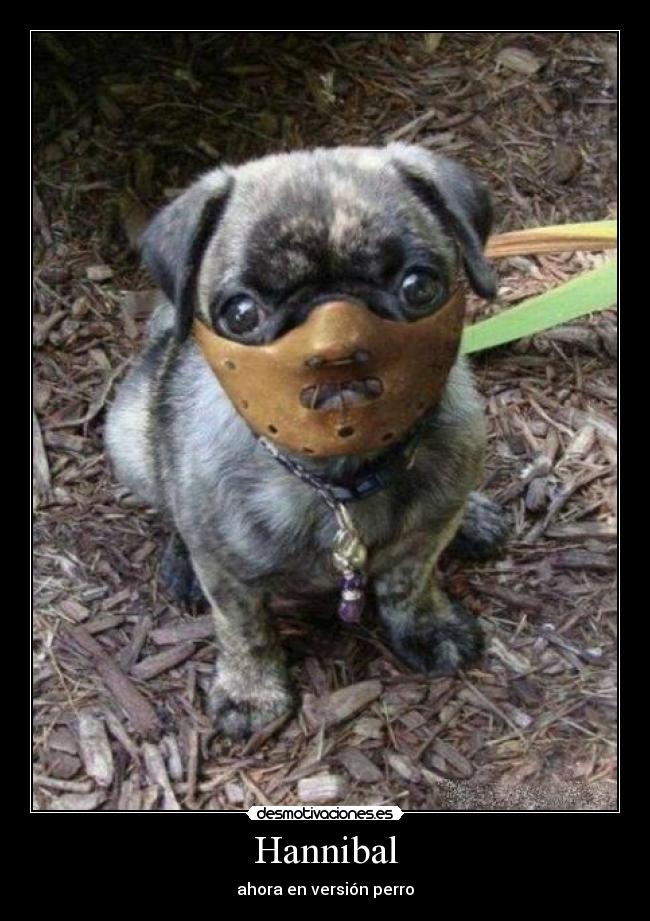 Hannibal - ahora en versión perro