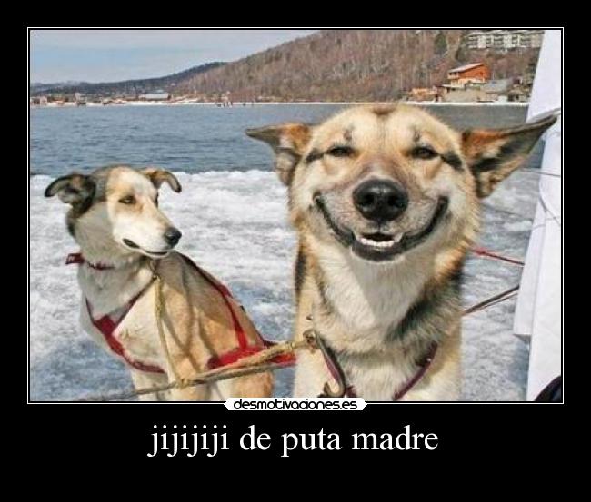 jijijiji de puta madre -