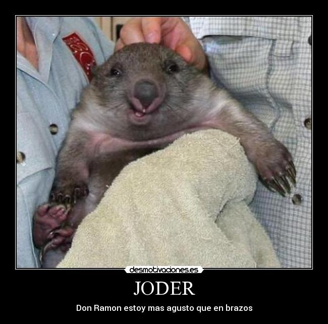 JODER - 