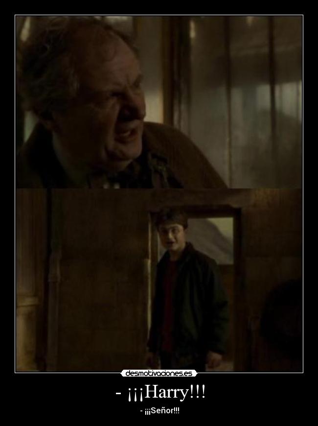 - ¡¡¡Harry!!! - 