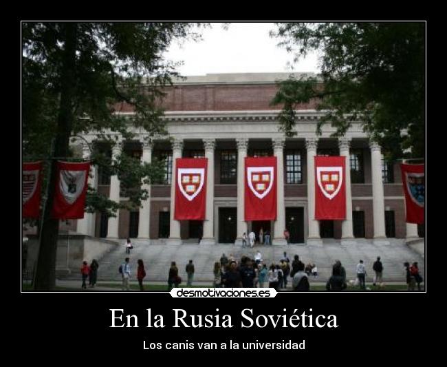 En la Rusia Soviética - Los canis van a la universidad