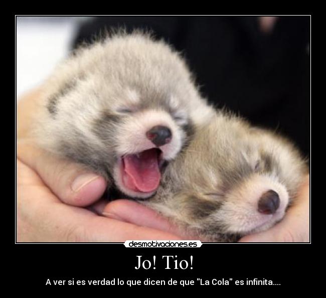 Jo! Tio! -