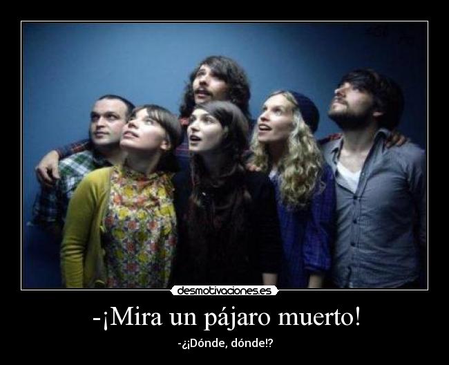 -¡Mira un pájaro muerto! -