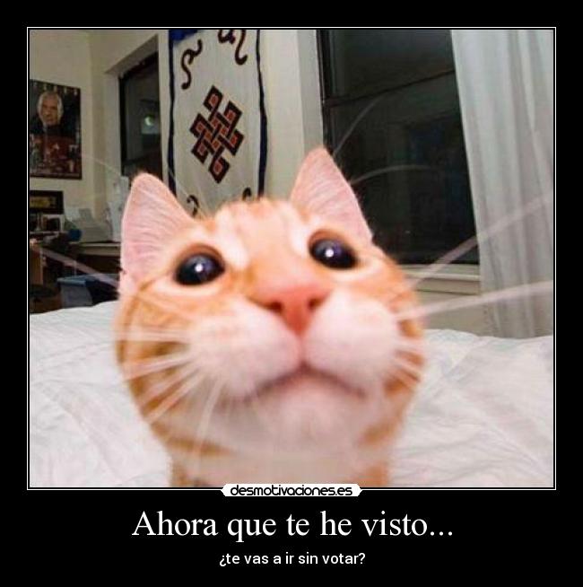 Ahora que te he visto... - 