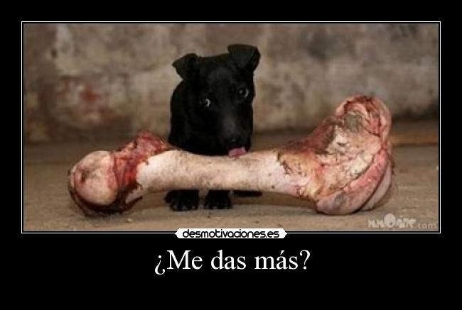 ¿Me das más? - 