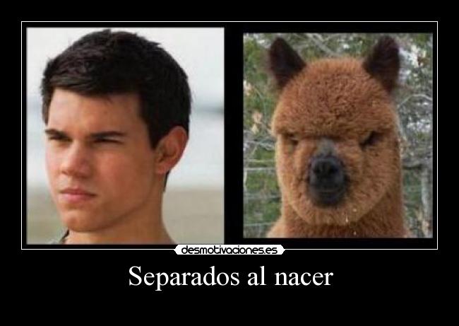 Separados al nacer -