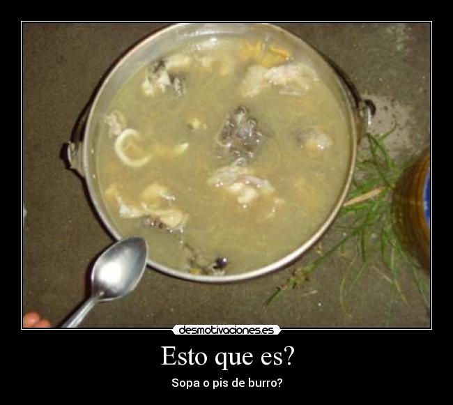 Esto que es? - Sopa o pis de burro?