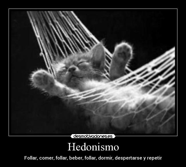 Hedonismo - 