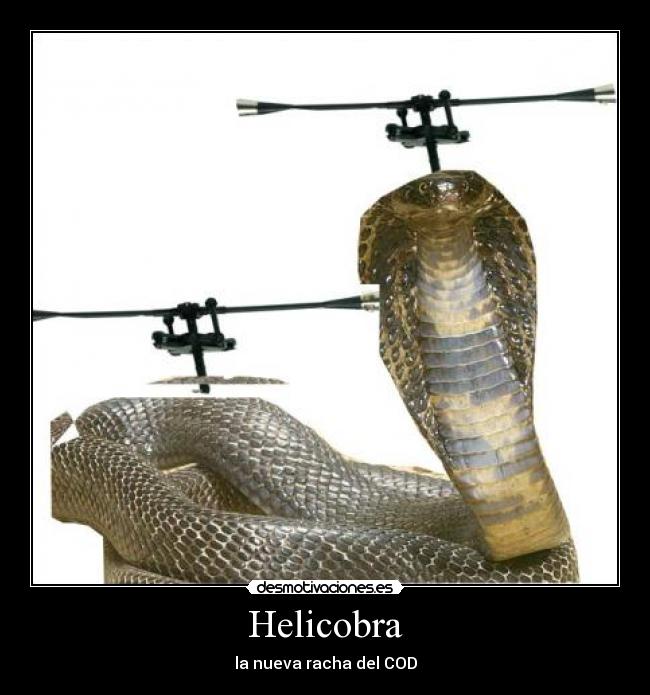 Helicobra - la nueva racha del COD