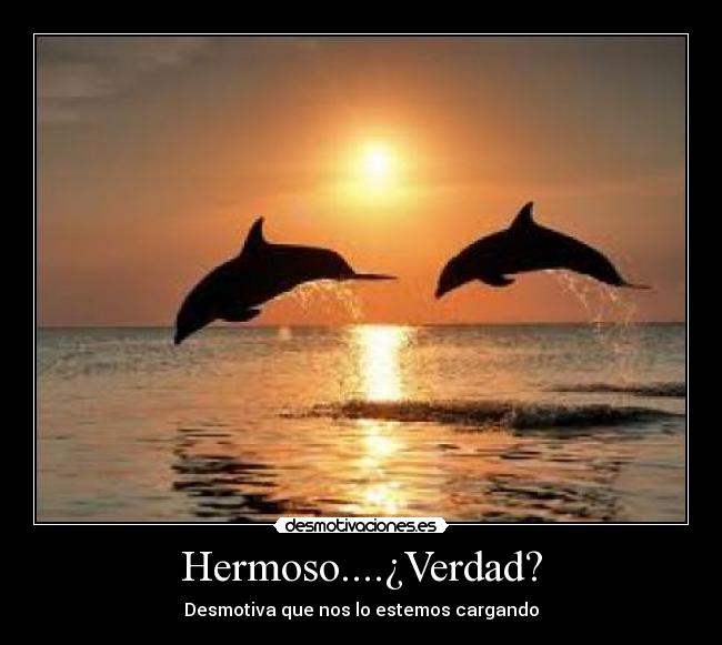 Hermoso....¿Verdad? - Desmotiva que nos lo estemos cargando
