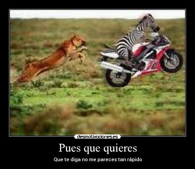 carteles pues que quieres desmotivaciones