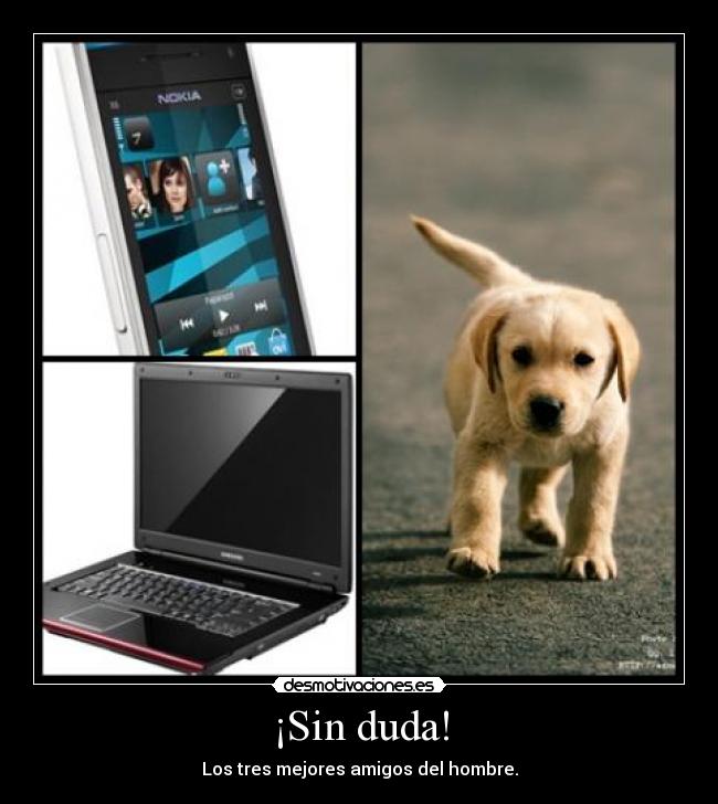 ¡Sin duda! - Los tres mejores amigos del hombre.