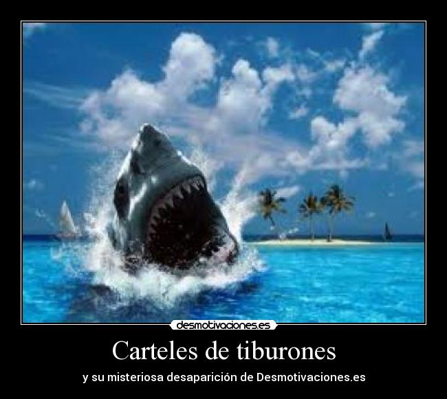 Carteles de tiburones -