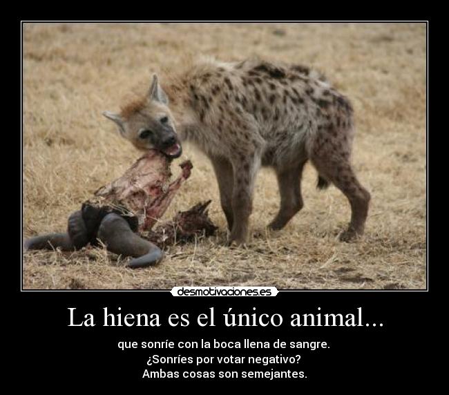 La hiena es el único animal... - que sonríe con la boca llena de sangre.
¿Sonríes por votar negativo?
Ambas cosas son semejantes.
