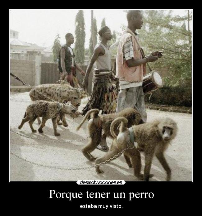 Porque tener un perro - 