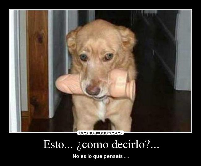 Esto... ¿como decirlo?... -