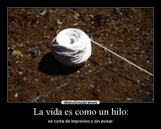 carteles vida vida desmotivaciones