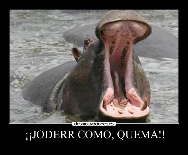 carteles olk desmotivaciones