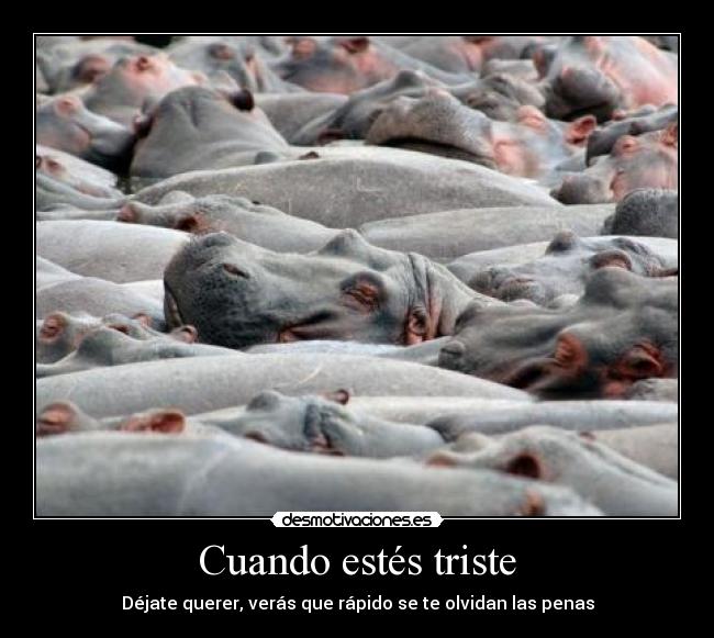 Cuando estés triste - Déjate querer, verás que rápido se te olvidan las penas