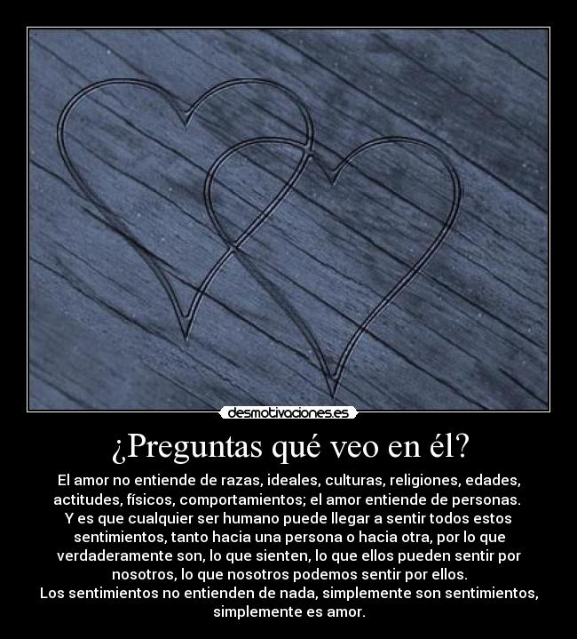 ¿Preguntas qué veo en él? -