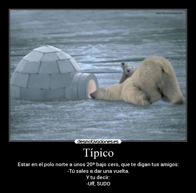 Típico - Estar en el polo norte a unos 20º bajo cero, que te digan tus amigos:
-Tú sales a dar una vuelta.
Y tu decir:
-Uff, SUDO