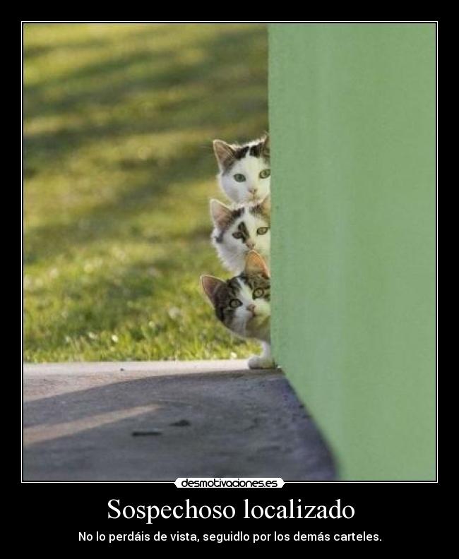 Sospechoso localizado - No lo perdáis de vista, seguidlo por los demás carteles.