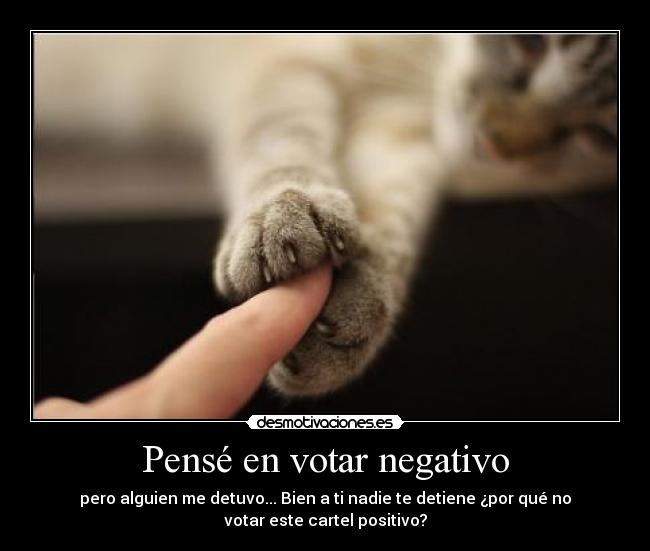 Pensé en votar negativo -
