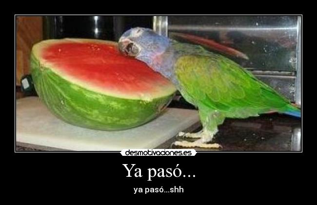 carteles ahhh desmotivaciones