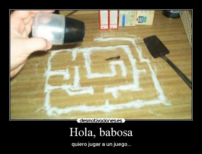 Hola, babosa -