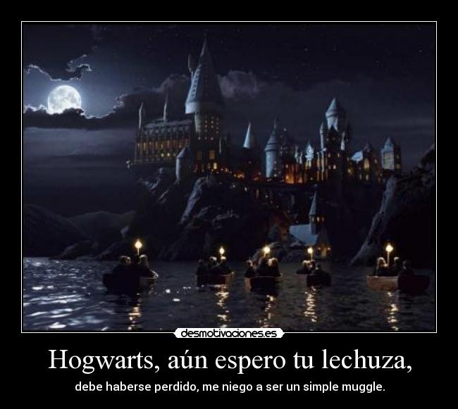 Hogwarts, aún espero tu lechuza, -