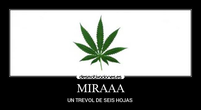 MIRAAA -