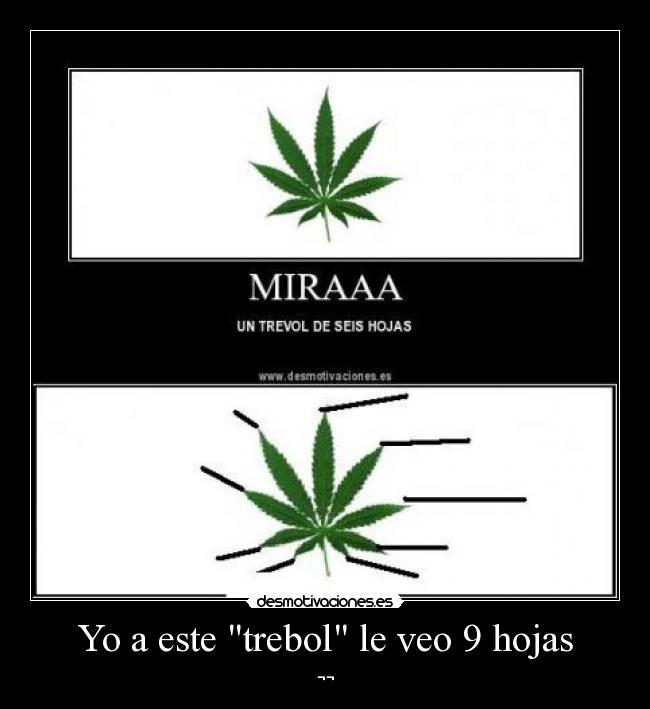 Yo a este trebol le veo 9 hojas - ¬¬
