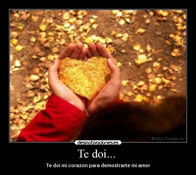 Te doi... - Te doi mi corazon para demostrarte mi amor