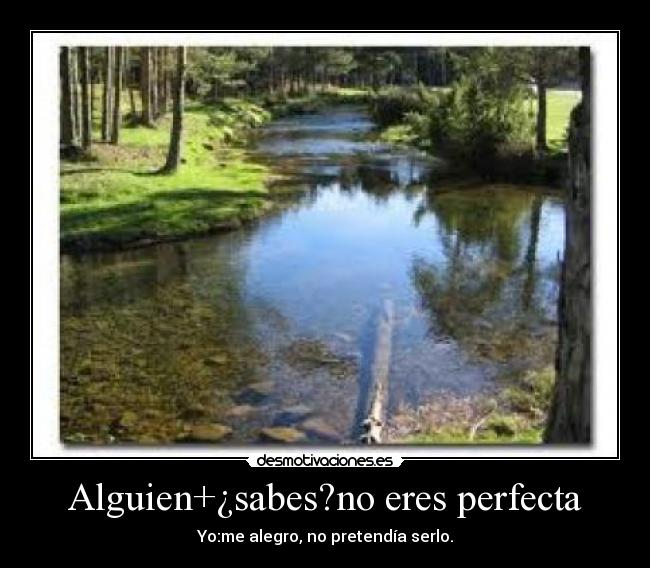 Alguien+¿sabes?no eres perfecta -