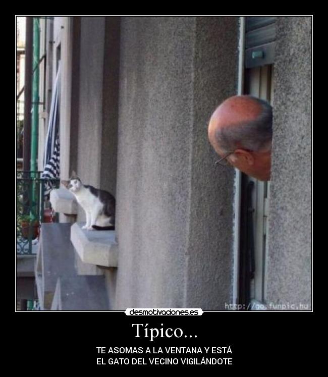 Típico... - 