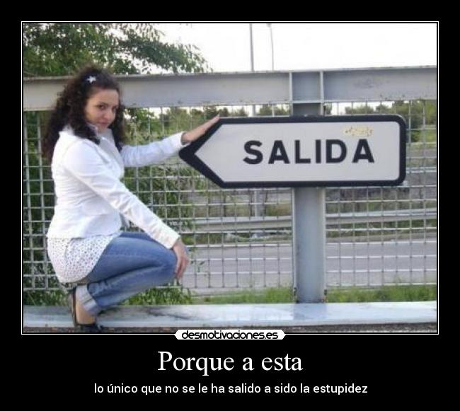 carteles choni salida pava desmotivaciones