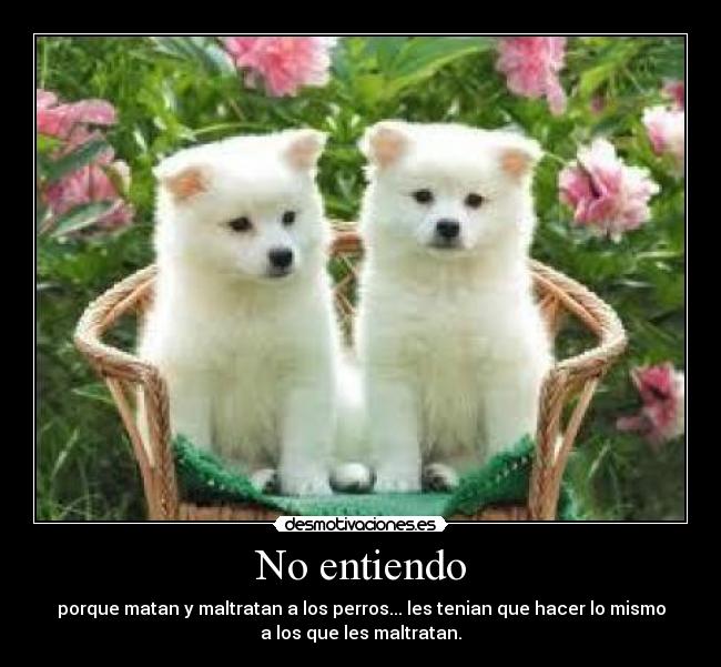 No entiendo - 