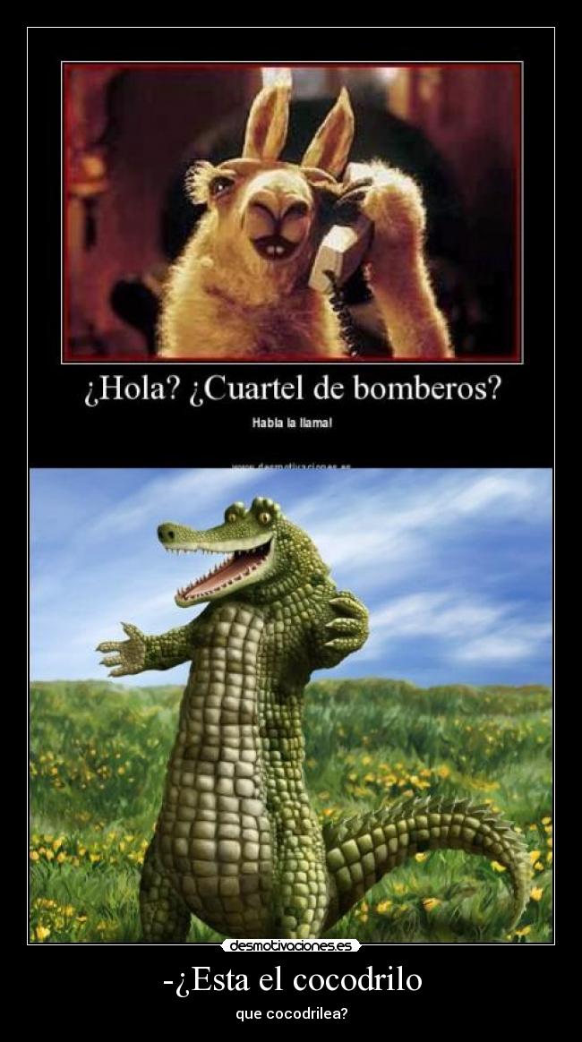 -¿Esta el cocodrilo -