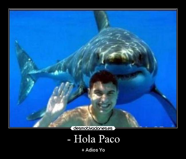 - Hola Paco - + Adios Yo