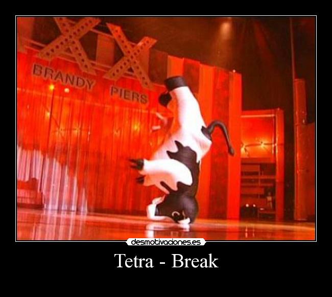 Tetra - Break -