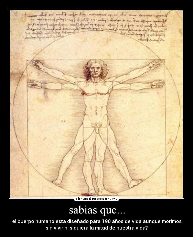 sabias que... - el cuerpo humano esta diseñado para 190 años de vida aunque morimos
sin vivir ni siquiera la mitad de nuestra vida?