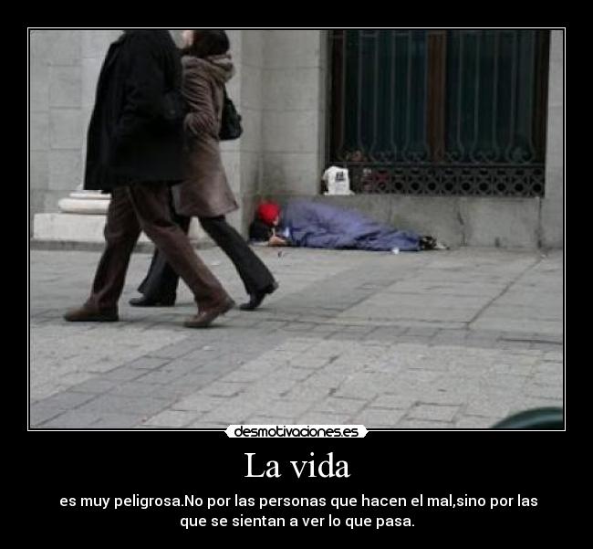 carteles vida vidapeligrosamalpersonas desmotivaciones